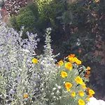 La Mesonnetta Bed & Breakfast