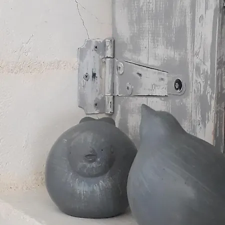 Bed and Breakfast La Mesonnetta Soulignonne