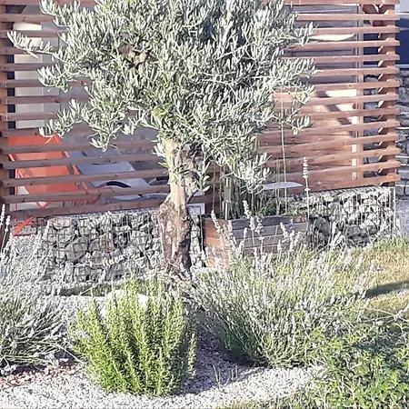 Bed and Breakfast La Mesonnetta