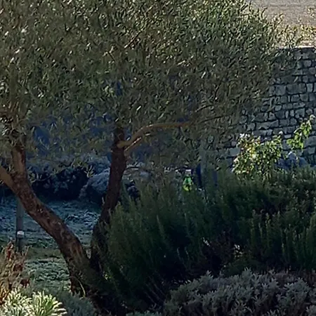 La Mesonnetta