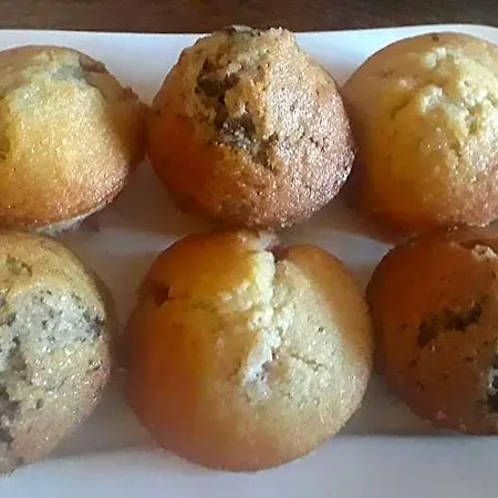 Bed & Breakfast La Mesonnetta Soulignonne